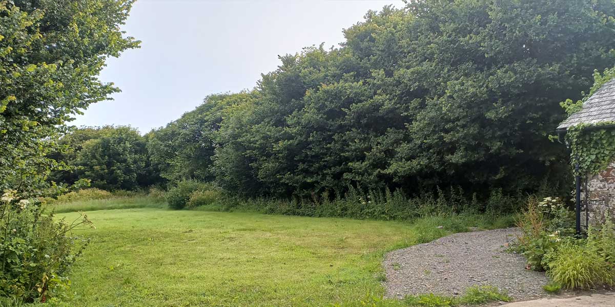 Campsite-field.jpg